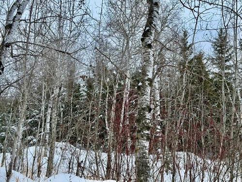 18 Cameron Dr, La Broquerie, MB 