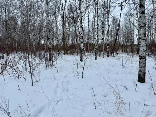 18 Cameron Dr, La Broquerie, MB 