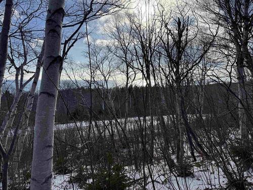Cabot Trail, Wreck Cove, NS 