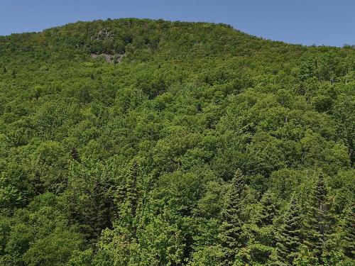 Cabot Trail, Wreck Cove, NS 