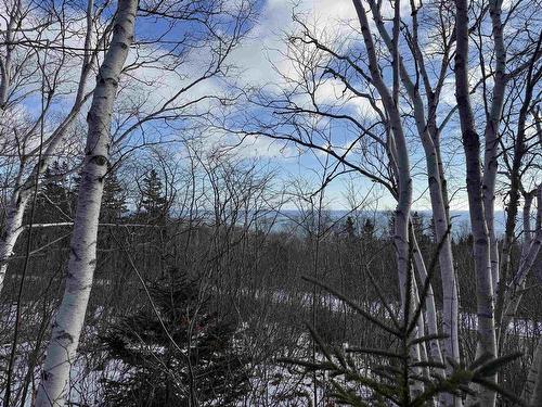 Cabot Trail, Wreck Cove, NS 