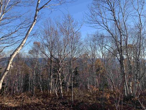 Cabot Trail, Wreck Cove, NS 