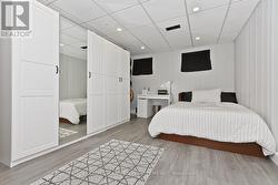 Lower level bedroom - 