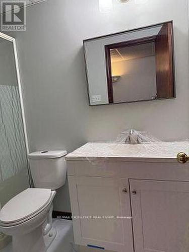 60 Denlow Street, Kitchener, ON - Indoor Photo Showing Bathroom