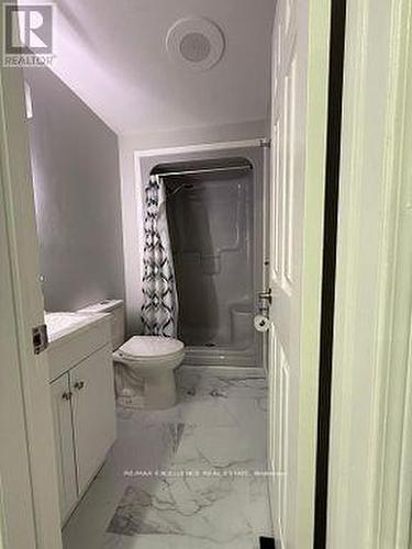 60 Denlow Street, Kitchener, ON - Indoor Photo Showing Bathroom