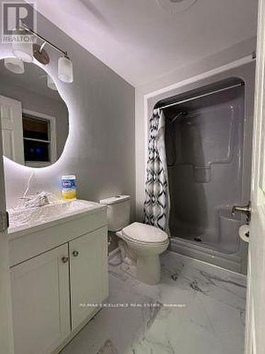 60 Denlow Street, Kitchener, ON - Indoor Photo Showing Bathroom