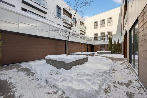 Backyard - 213-3311 Boul. St-Joseph E., Montréal (Rosemont/La Petite-Patrie), QC - Outdoor