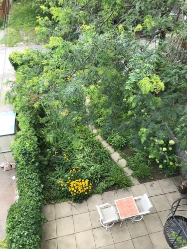 Cour - 5820 Rue De La Roche, Montréal (Rosemont/La Petite-Patrie), QC - Outdoor