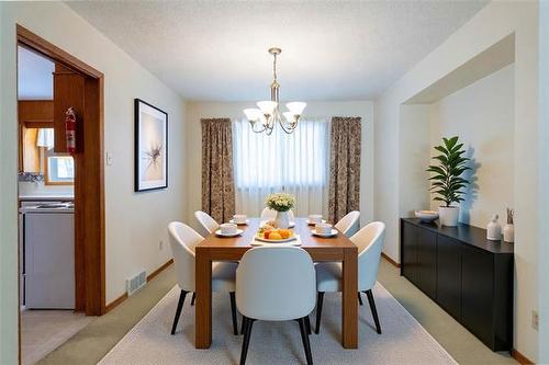 41 Coleridge Park Dr, Winnipeg, MB 