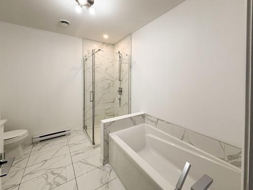 Salle de bains - 201-3791 Rue De Mont-Royal, Longueuil (Saint-Hubert), QC - Indoor Photo Showing Bathroom