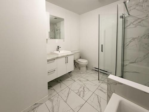 Salle de bains - 201-3791 Rue De Mont-Royal, Longueuil (Saint-Hubert), QC - Indoor Photo Showing Bathroom
