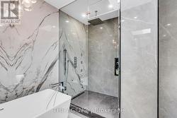 Primary spa shower w/steam capability and skylight - 