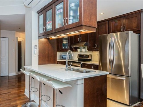 Kitchen - 105-150 Rue Barnett, Dollard-Des-Ormeaux, QC - Indoor Photo Showing Kitchen With Double Sink