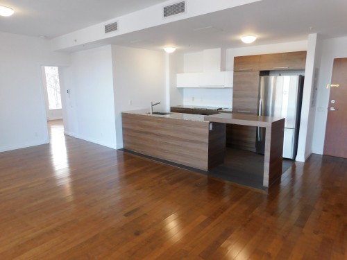 Cuisine - 706-4500 Ch. De La Côte-Des-Neiges, Montréal (Côte-Des-Neiges/Notre-Dame-De-Grâce), QC - Indoor Photo Showing Kitchen