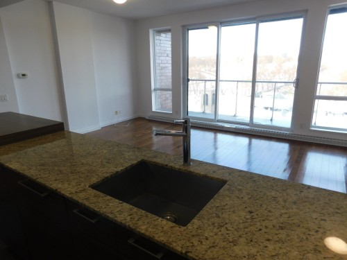 Cuisine - 706-4500 Ch. De La Côte-Des-Neiges, Montréal (Côte-Des-Neiges/Notre-Dame-De-Grâce), QC - Indoor Photo Showing Other Room