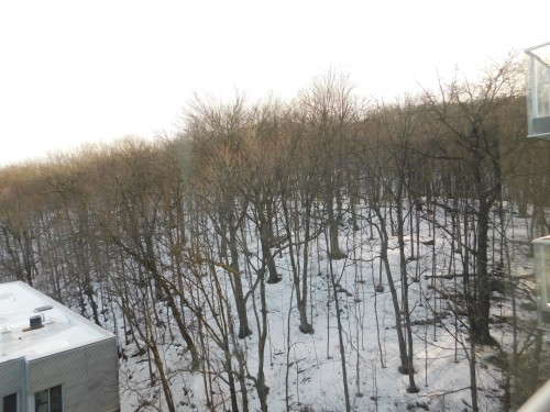 Vue - 706-4500 Ch. De La Côte-Des-Neiges, Montréal (Côte-Des-Neiges/Notre-Dame-De-Grâce), QC - Outdoor With View