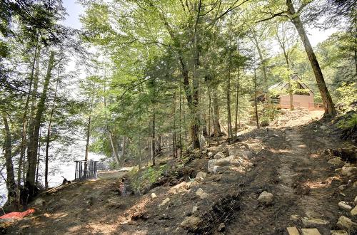 Vue d'ensemble - 3590 Lac-Des-Écorces, Barkmere, QC - Outdoor With View