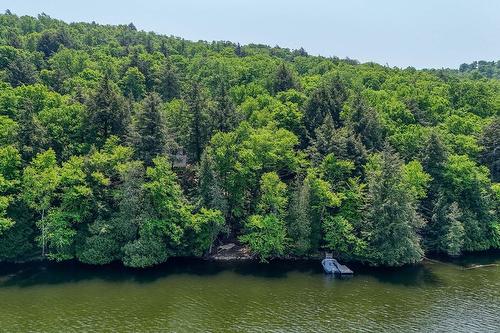 Bord de l'eau - 3590 Lac-Des-Écorces, Barkmere, QC - Outdoor With Body Of Water