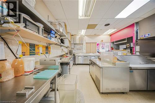 Kitchen featuring stainless steel countertops, a paneled ceiling, and open shelves - 223 Louisa Street, Kitchener, ON 