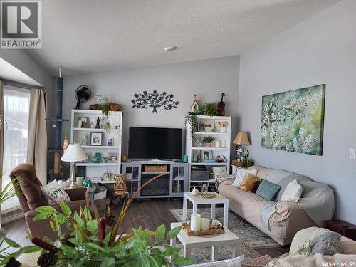 210 Douglas Place, Waseca, SK - Indoor Photo Showing Living Room