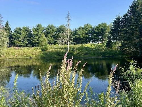 60 Baseline Road, Newton Mills, NS 