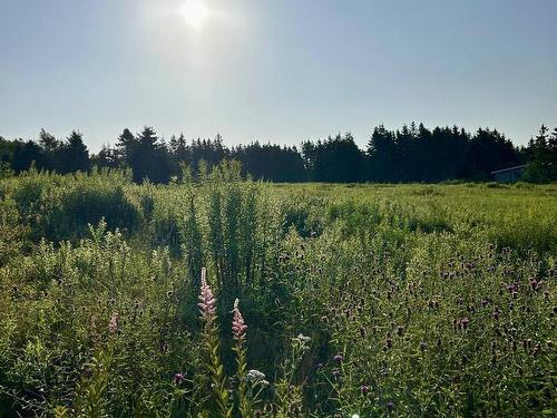60 Baseline Road, Newton Mills, NS 