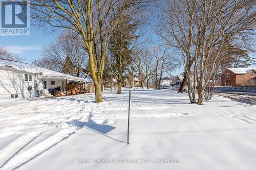 149 Minnesota Street, Collingwood, ON 