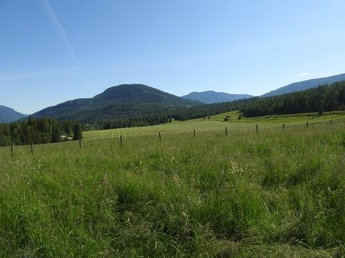 43 Sigalet Road, Lumby, BC - Outdoor With View