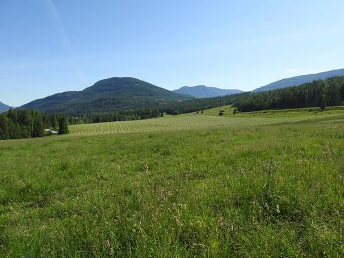 43 Sigalet Road, Lumby, BC - Outdoor With View