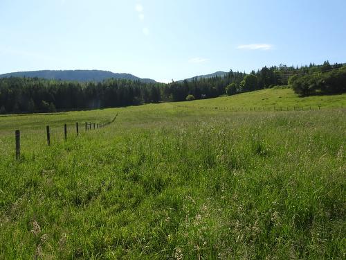 43 Sigalet Road, Lumby, BC - Outdoor With View