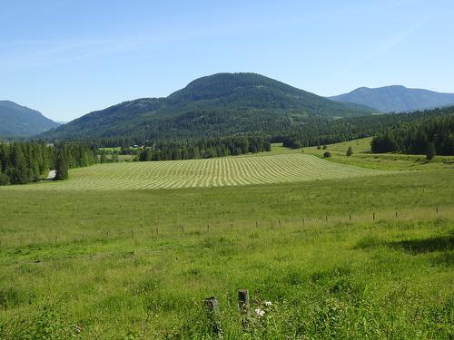 43 Sigalet Road, Lumby, BC - Outdoor With View