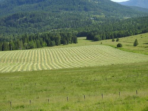 43 Sigalet Road, Lumby, BC - Outdoor With View