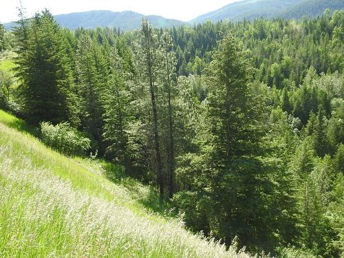 43 Sigalet Road, Lumby, BC - Outdoor With View