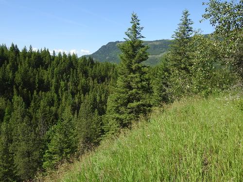 43 Sigalet Road, Lumby, BC - Outdoor With View