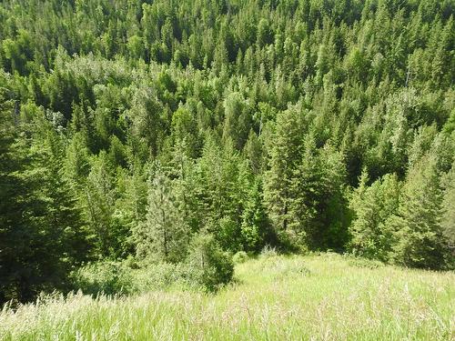 43 Sigalet Road, Lumby, BC - Outdoor