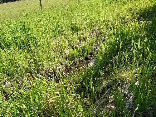 43 Sigalet Road, Lumby, BC - Outdoor