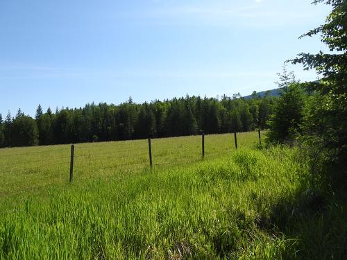 43 Sigalet Road, Lumby, BC - Outdoor With View