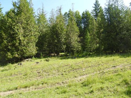 43 Sigalet Road, Lumby, BC - Outdoor