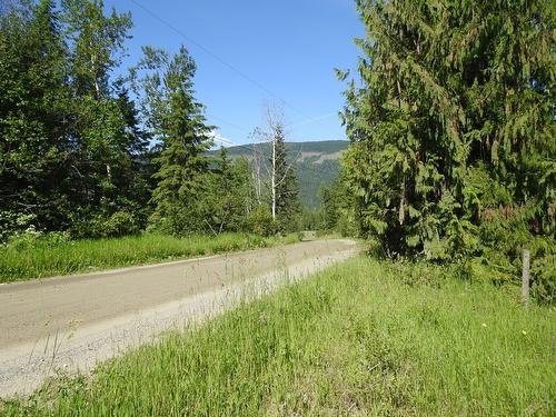 43 Sigalet Road, Lumby, BC - Outdoor With View