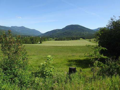 43 Sigalet Road, Lumby, BC - Outdoor With View