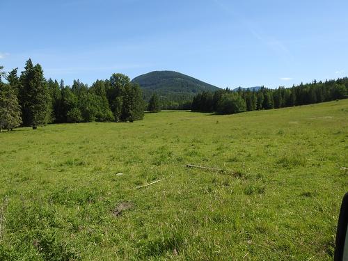 43 Sigalet Road, Lumby, BC - Outdoor With View