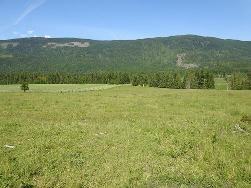43 Sigalet Road, Lumby, BC - Outdoor With View