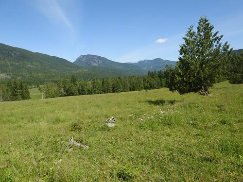 43 Sigalet Road, Lumby, BC - Outdoor With View