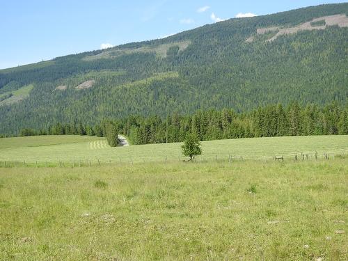 43 Sigalet Road, Lumby, BC - Outdoor With View