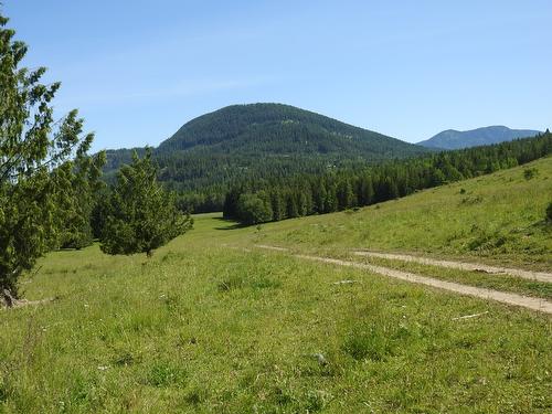 43 Sigalet Road, Lumby, BC - Outdoor With View