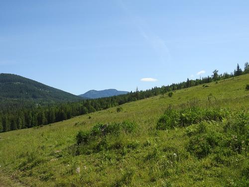 43 Sigalet Road, Lumby, BC - Outdoor With View