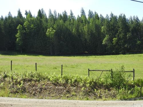 43 Sigalet Road, Lumby, BC - Outdoor