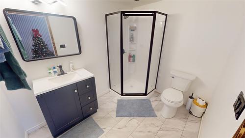 424 Briar Avenue, Cranbrook, BC - Indoor Photo Showing Bathroom