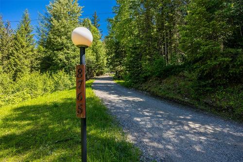 8765 Forsberg Road, Vernon, BC - Outdoor With View