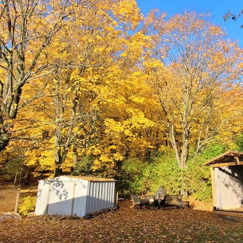 Cour - 2643 Av. Glenada, Shawinigan, QC - Outdoor